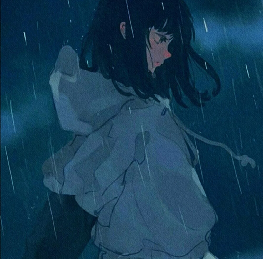 猫与少年